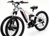 TEMAROO Introduces Tilting Dual-Front-Wheel E-Bike Technology